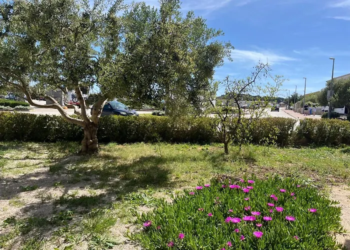 Apartmani Saldi